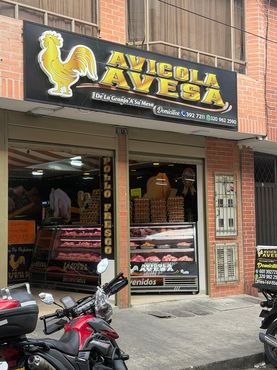 Galería Tierra Santa